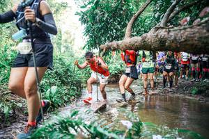 BIB: 
                            <button type="button" onclick="openModal(25516512)" class="btn btn-primary btn-sm float-right btn-popup" data-toggle="modal" data-target=".modal-high-quality">
                        <i class="fas fa-shopping-cart"></i> Add to Cart
                    </button>
                                            <button type="button" onclick="isThisMe(25516512, true)" class="btn btn-success btn-sm float-right btn-popup btn-isme hidden" data-toggle="tooltip" data-placement="bottom" title="นี่คือรูปของคุณใช่ไหม คลิกที่นี่เพื่อเอาเข้าอัลบั้ม">
                        <i class="fas fa-plus"></i> Add to album
                    </button>
                    <button type="button" onclick="isThisMe(25516512, false)" class="btn btn-warning btn-sm float-right btn-popup btn-isnotme hidden">
                        <i class="fas fa-ban"></i> Remove from album
                    </button>